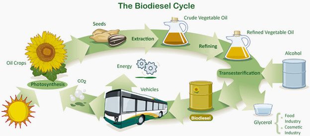 Biodiesel - Mythen und Fakten