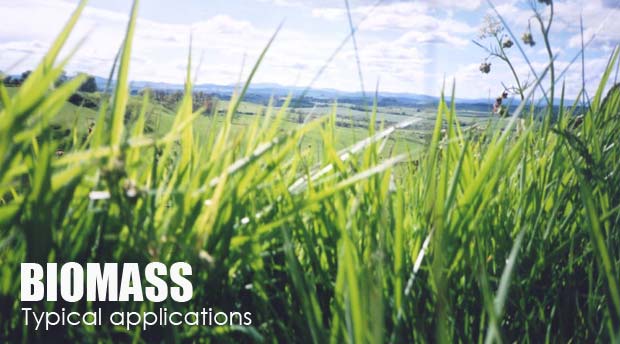 Typische Anwendungen von Biomasse